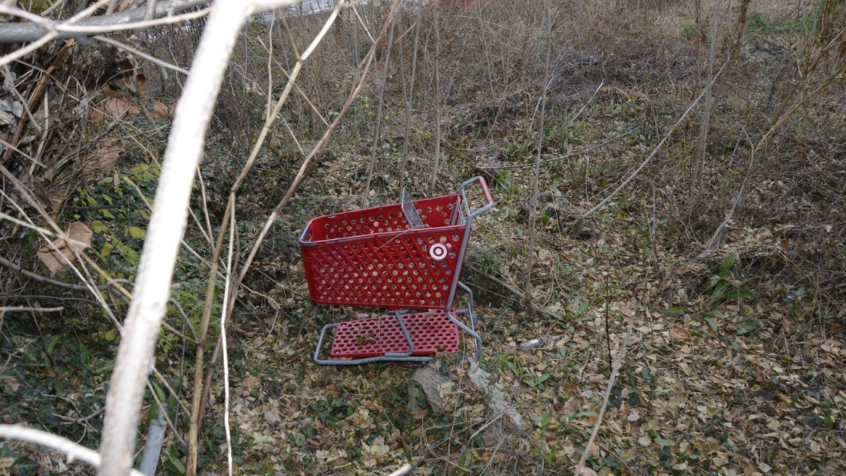 Target shopping cart