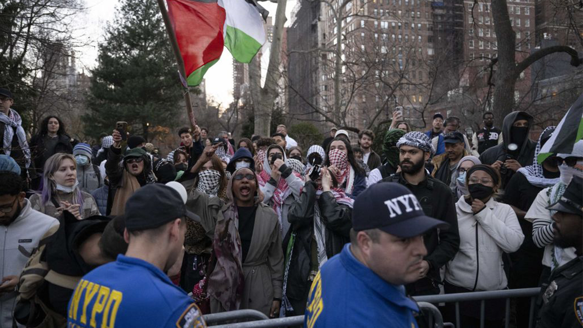 Pro-Palestinian protest