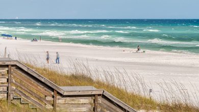 Police reveal contents of mysterious black packages that washed up on pristine Florida beach