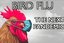 Is The Bird Flu Threat Diminishing?