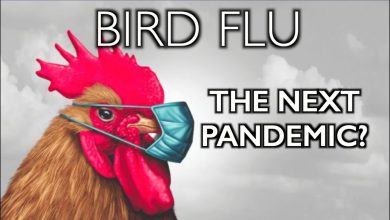 Is The Bird Flu Threat Diminishing?