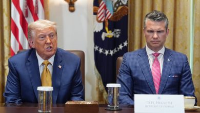 Trump caught off guard by DOD pause on Ukraine arms deliveries: Report