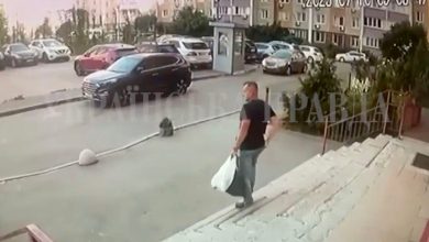 Top Ukrainian spy gunned down in Kyiv ambush attack: report
