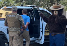 Smokey the Bear arrests man for allegedly stealing his signs in Florida to sell on Facebook: ‘Dumb criminals’