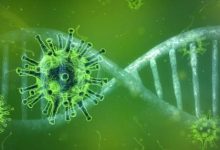 Next Plandemic? Drug-Resistant BAT-HUMAN HYBRID FLU Engineered by NIH-funded Researchers