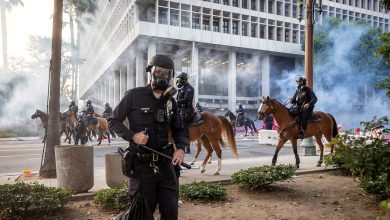 LA officials charge over 40 anti-ICE protesters who allegedly assaulted officers, horses and threatened child