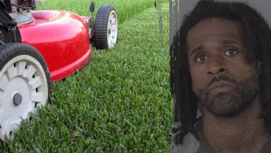 ‘Lawn guy’ accused of throwing party at former client’s home while they were on vacation: ‘Epic failures’