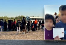 Border crisis under Biden reveals shocking abuse of migrant children placed with unvetted sponsors: DHS