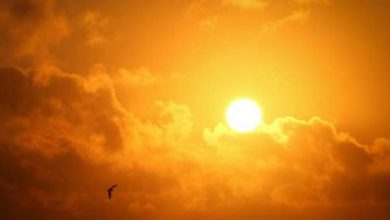 Studies Show Americans Are Not Getting Enough Sunlight
