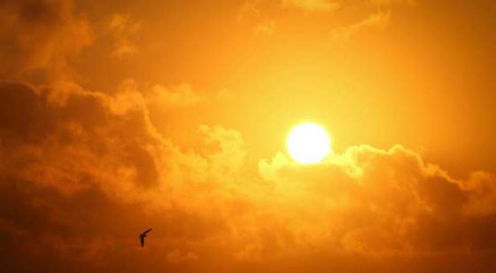 Studies Show Americans Are Not Getting Enough Sunlight