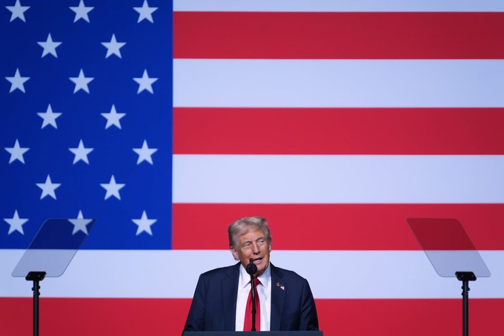 Trump suggests using US cities as ‘training grounds’ for military