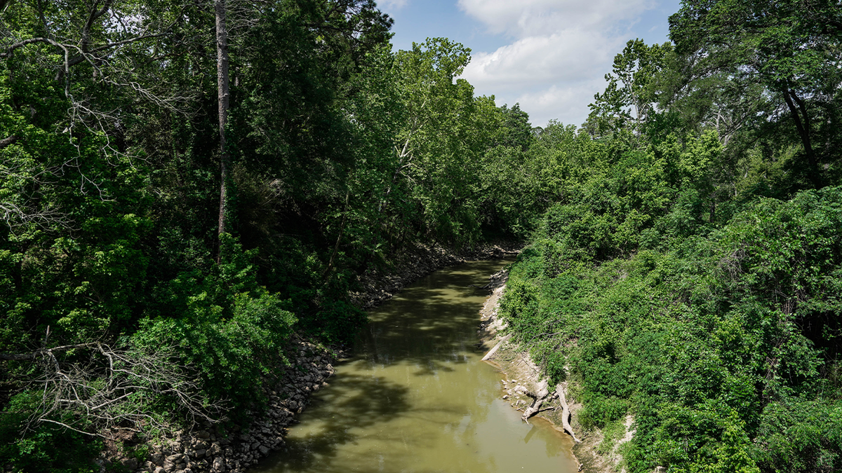 shallow muddy water surrounded by trees in one of houston's bayous