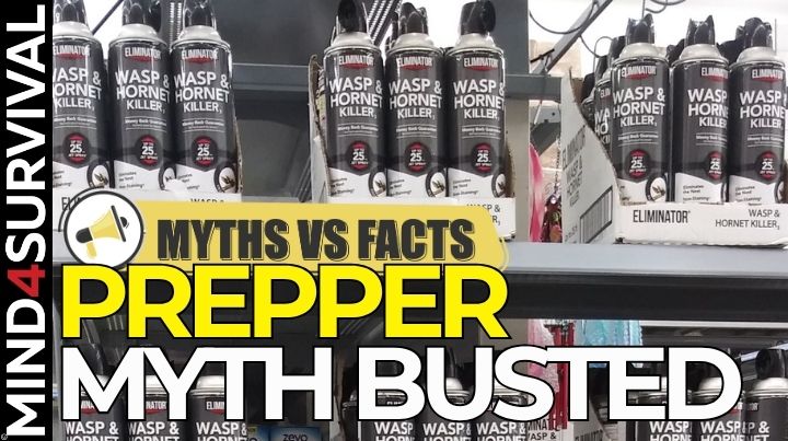 Wasp Spray for Self-Defense? Why It’s a Bad Idea Wasp Spray for Self-Defense? Why It’s a Bad Idea