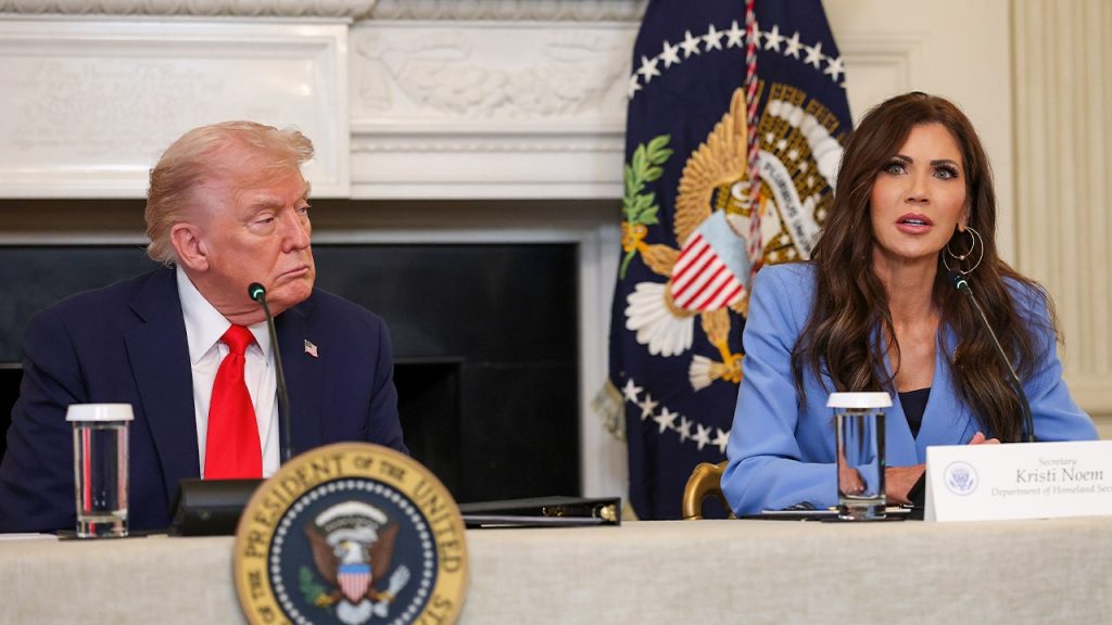 DHS packages latest ICE arrests as ‘Christmas gift to Americans’