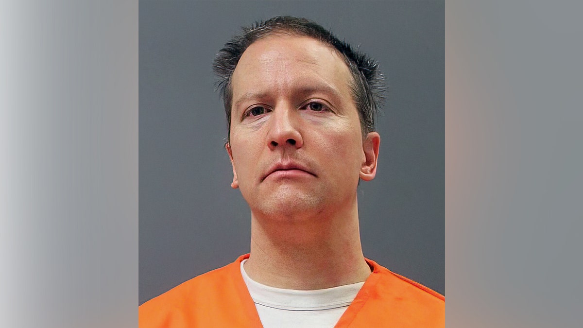 Derek Chauvin mugshot