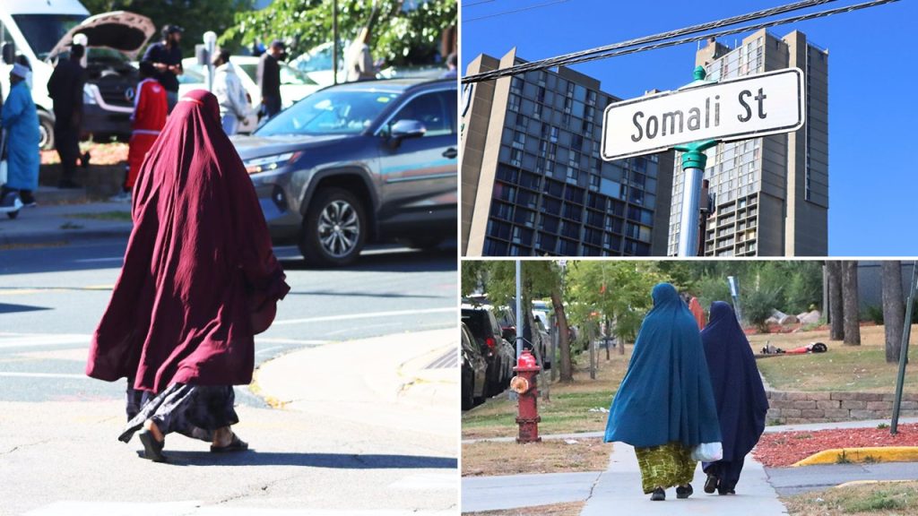 Inside ‘Little Mogadishu’: Minnesota’s beleaguered Somali community under a cloud of fraud and Trump attacks Inside ‘Little Mogadishu’: Minnesota’s beleaguered Somali community under a cloud of fraud and Trump attacks