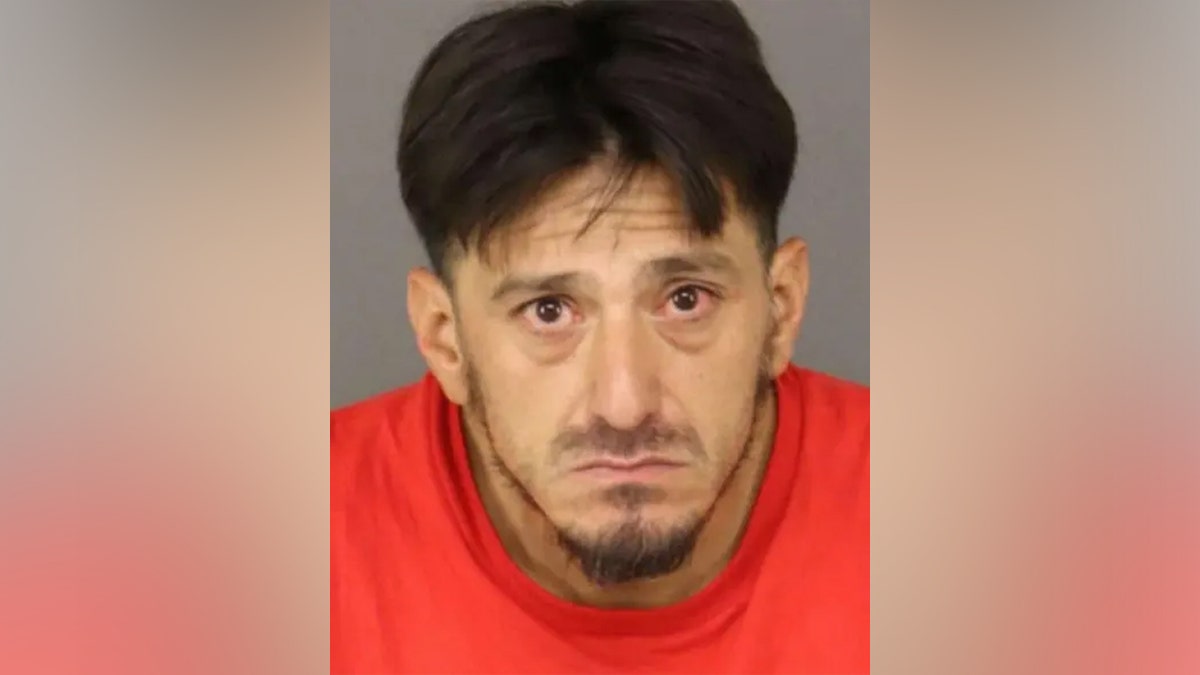 Thomas Perales's Colorado mugshot