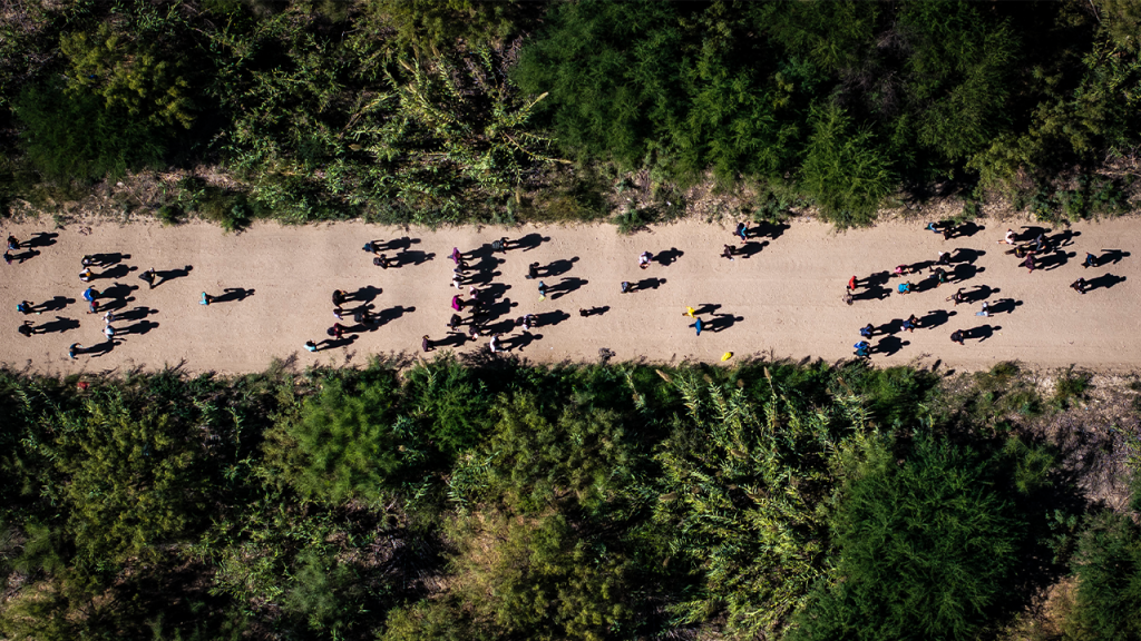 US drug overdose deaths plummet 20% as Trump administration cracks down on southern border