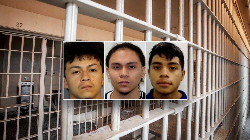 ICE seeking detention of 3 alleged MS-13 members accused of murdering 14-year-old boy ICE seeking detention of 3 alleged MS-13 members accused of murdering 14-year-old boy