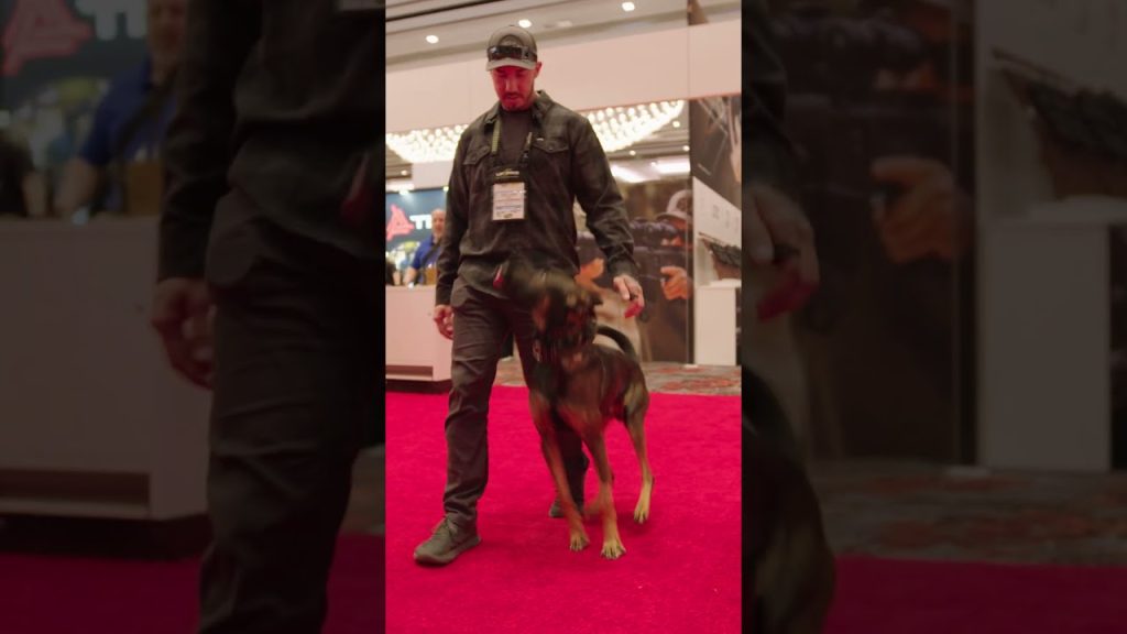 PUPPIES at @shotshow 2026?!?