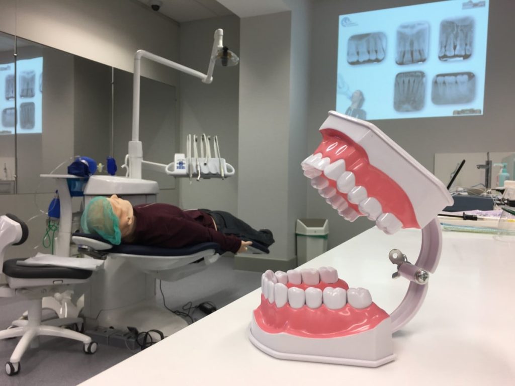 Military families will see slight increases in Tricare dental premiums Military families will see slight increases in Tricare dental premiums