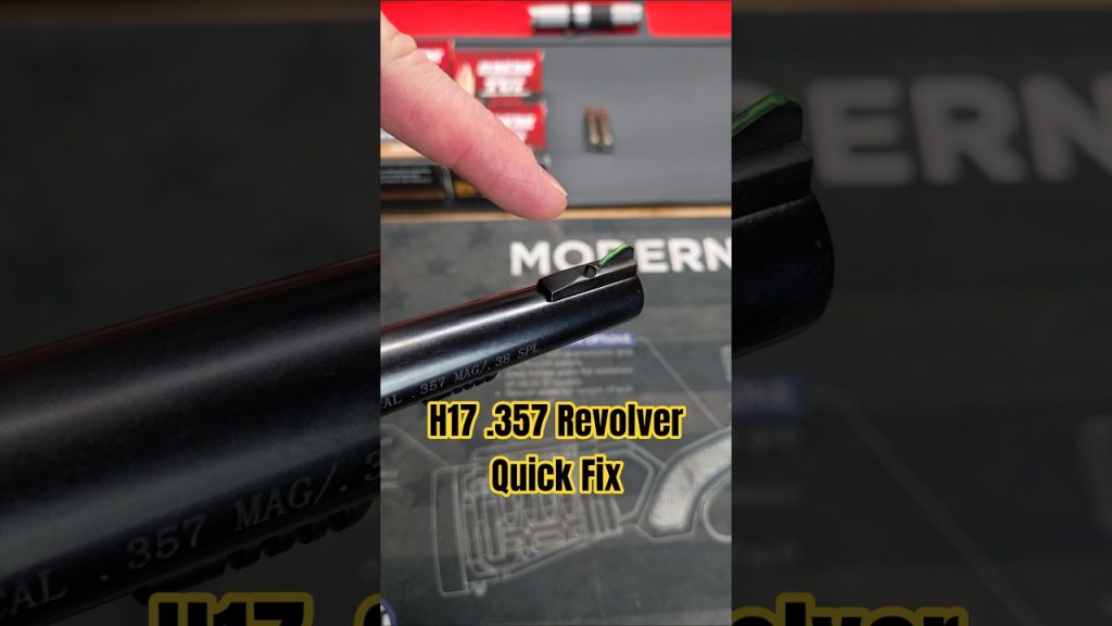 Front Sight Improvement for Almost Any Gun: Henry H17 .357 MAG Revolver