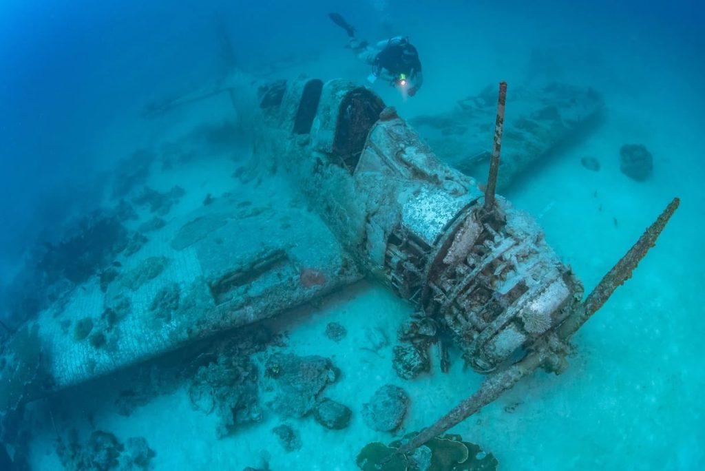 Efforts underway to preserve first WWII Devastator torpedo bomber Efforts underway to preserve first WWII Devastator torpedo bomber