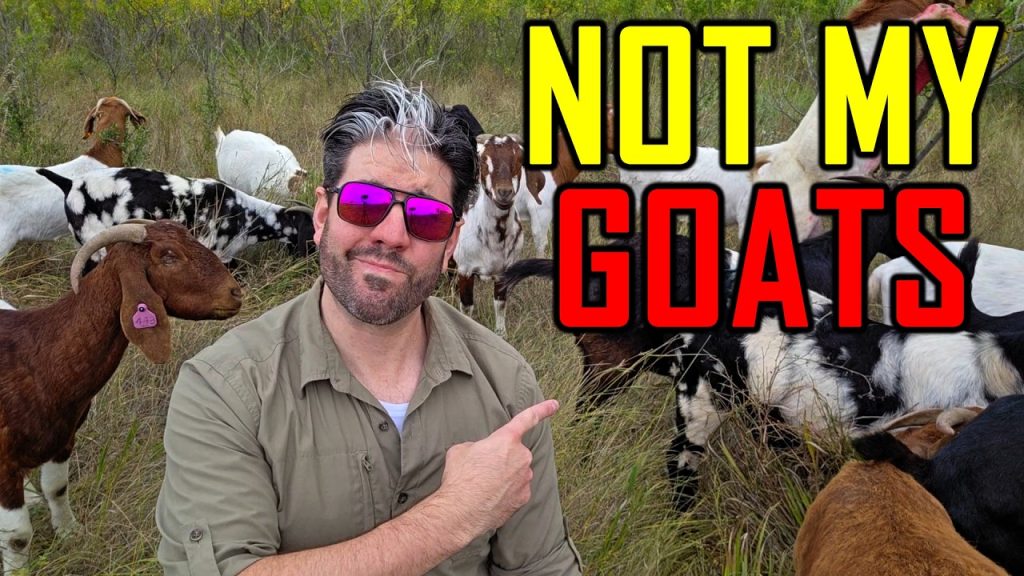 I Failed at Homesteading. Here’s Why.