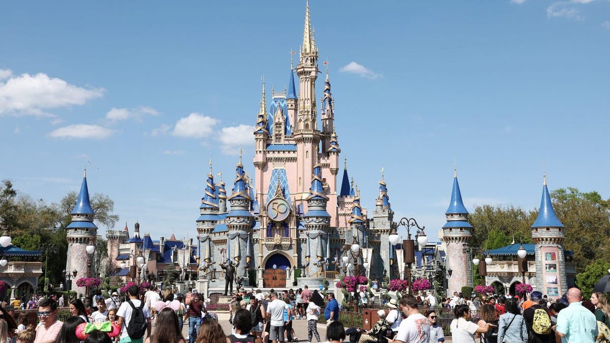 A crowd in front of the castle at Disney World
