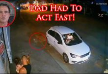 Dad Has Split Second To Protect Himself And His Baby From Charging Dog