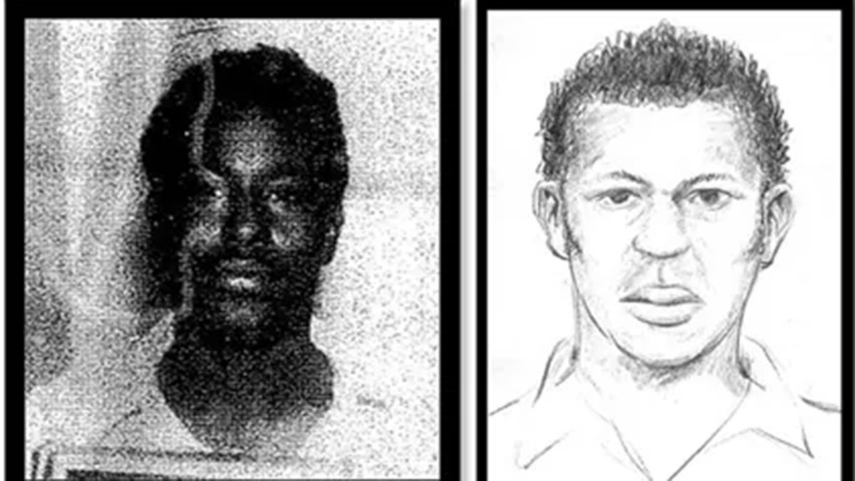 Willie Sims booking photo and suspect sketch