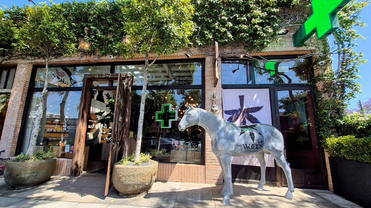 Outside of The Woods storefront in West Hollywood, California