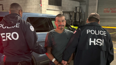 California sheriff says Newsom ‘encouraged’ LA riots as ICE arrests violent illegal aliens