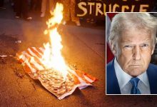 Trump vows consequences for ‘animals’ burning American flags in LA, slams those waving other countries’ flags