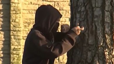 Illegal alien charged with attempted murder for throwing Molotov cocktail at officers in LA riots: DHS