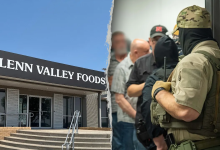 Massive identity theft scheme led by illegal immigrants uncovered after raid at meatpacking plant