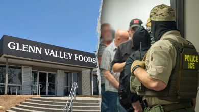 Massive identity theft scheme led by illegal immigrants uncovered after raid at meatpacking plant