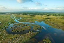 Florida building ‘Alligator Alcatraz’ where ICE detainees face nature’s own security system