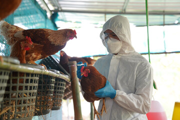 Fifth Person Dies of Bird Flu in Cambodia