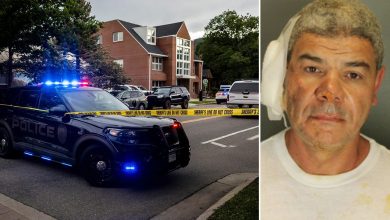 Mohamed Soliman allegedly planned Molotov cocktail attack after gun purchase denial: docs