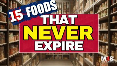15 Foods to STOCKPILE That NEVER Expire!