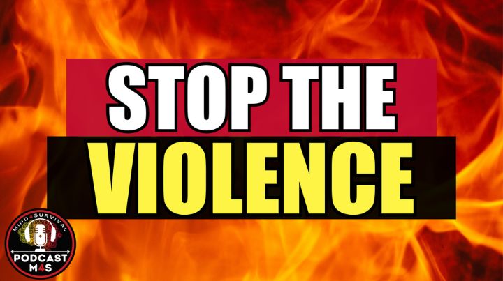 How to Reduce Violence: A Holistic Approach