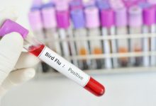 Bird Flu Infects a Fifth Person In Cambodia