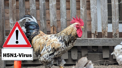 Public Health Experts Claim We Should Be Afraid of Bird Flu