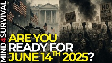 Why June 14 2025 Protests Could Turn into Chaos