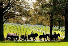 Army will end most of its ceremonial horse programs