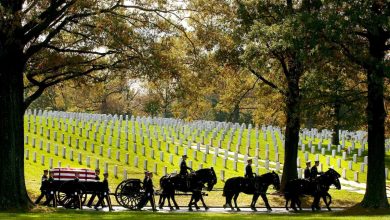 Army will end most of its ceremonial horse programs