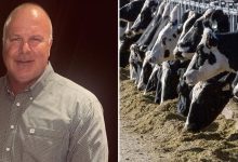 Victims of ‘Bernie Madoff of cows’ take on major banks in massive ghost cattle Ponzi scheme