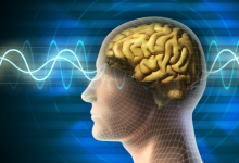 Human Reason as the Foundation of Civilization