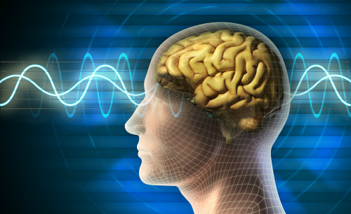 Human Reason as the Foundation of Civilization